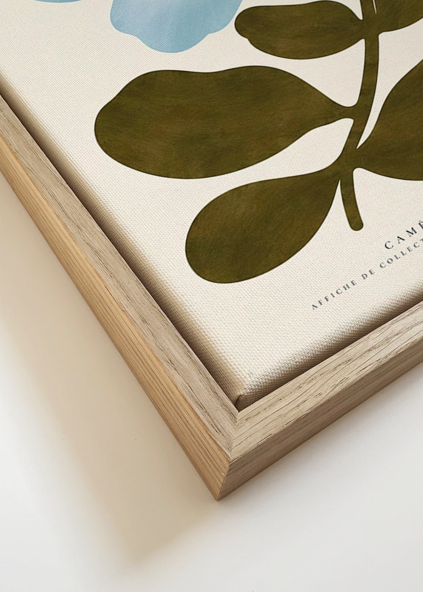 Estampa botânica Camélia azul