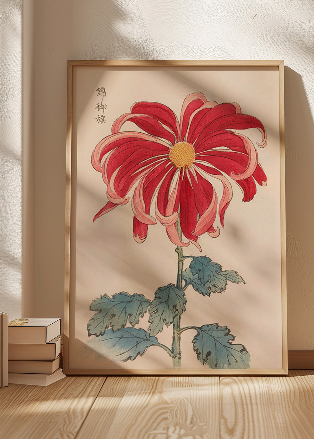 Estampa botânica crisantemo japonês vermelho