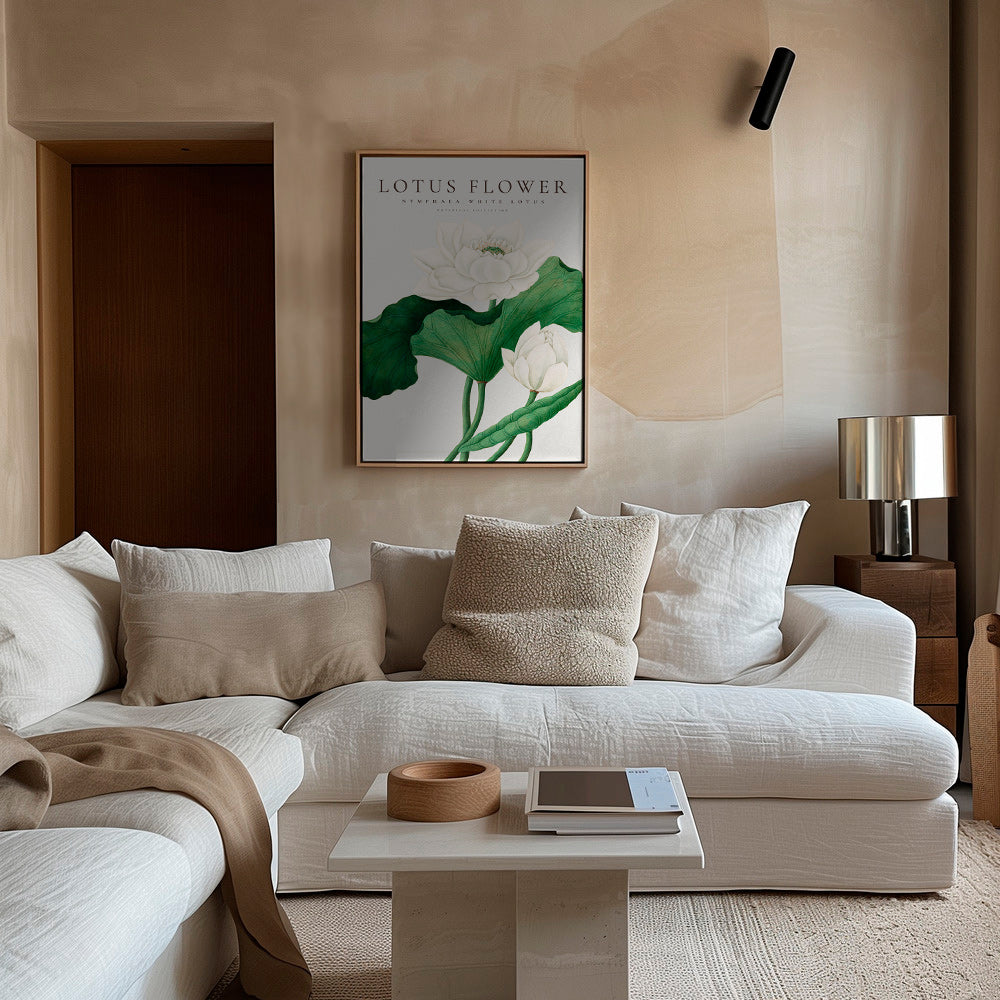 Estampa botânica Lotus branco estudo