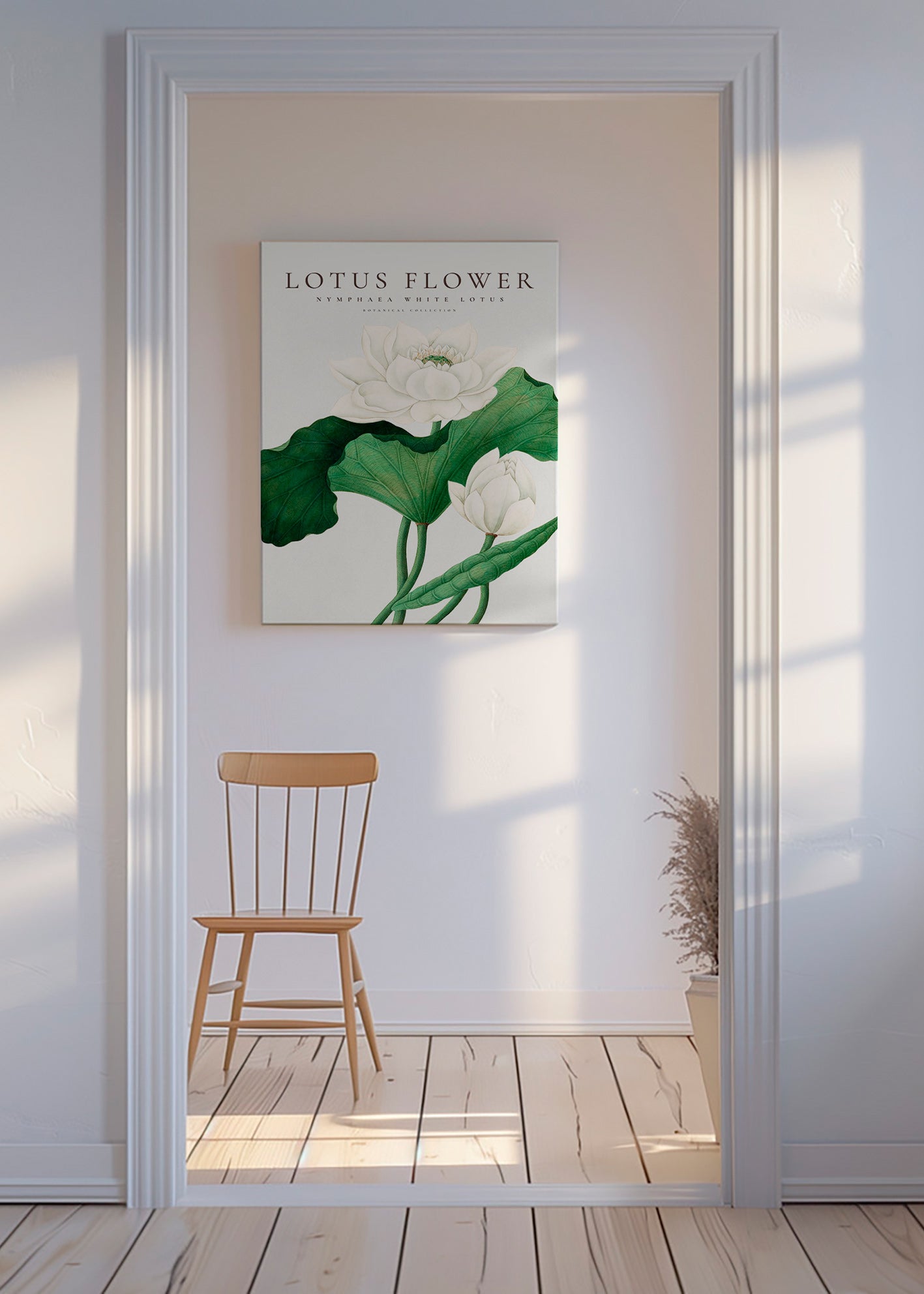 Estampa botânica Lotus branco estudo