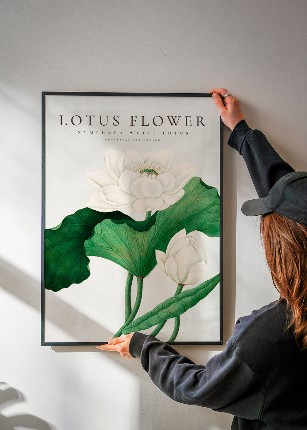 Estampa botânica Lotus branco estudo