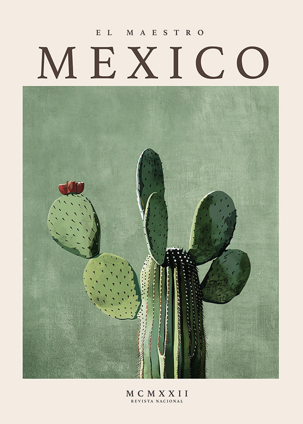 Estampa botânica México com cacto