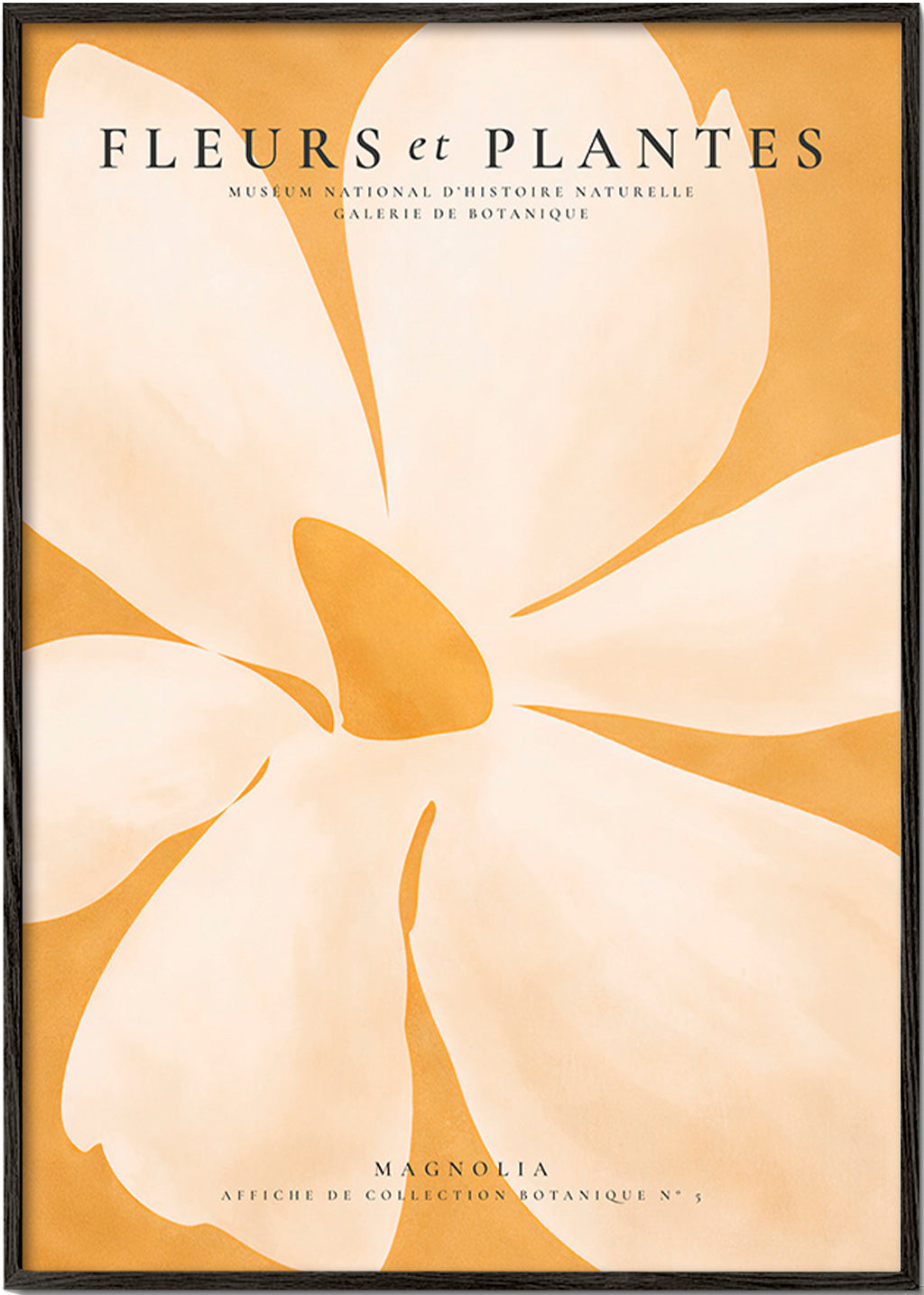 Estampa botânica Magnolia grande formato