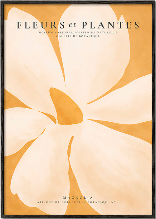 Estampa botânica Magnolia grande formato