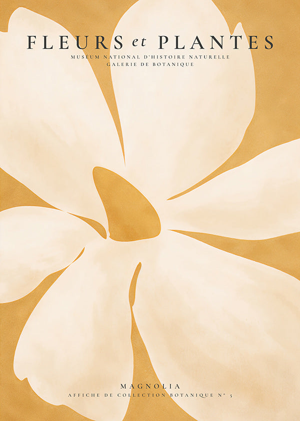 Estampa botânica Magnolia grande formato