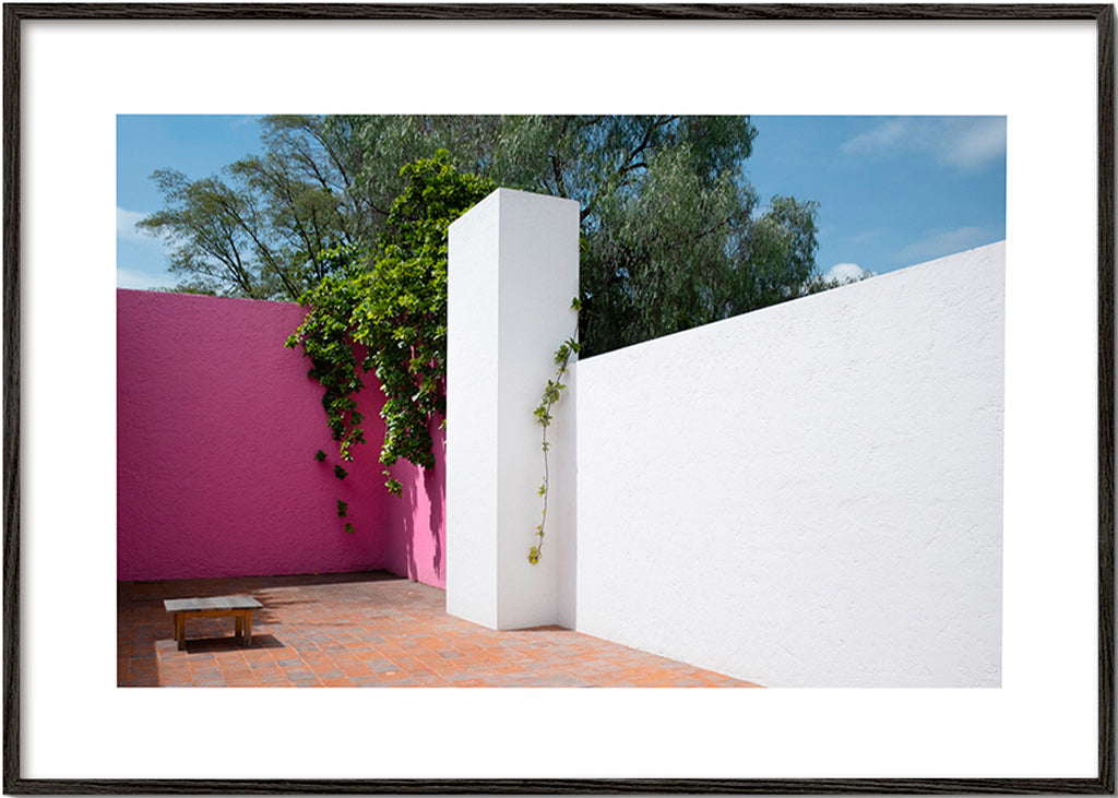Design minimalista pátio rosa e branco
