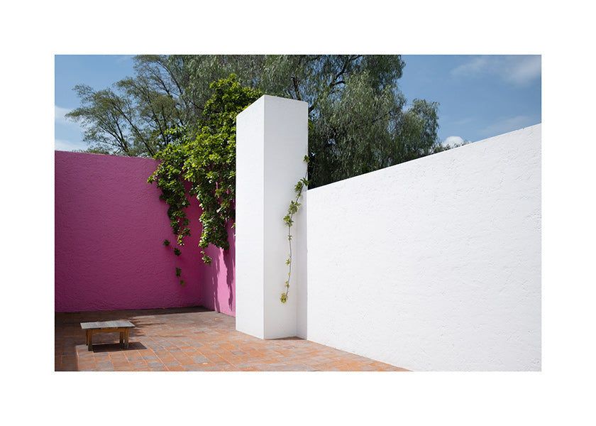 Design minimalista pátio rosa e branco