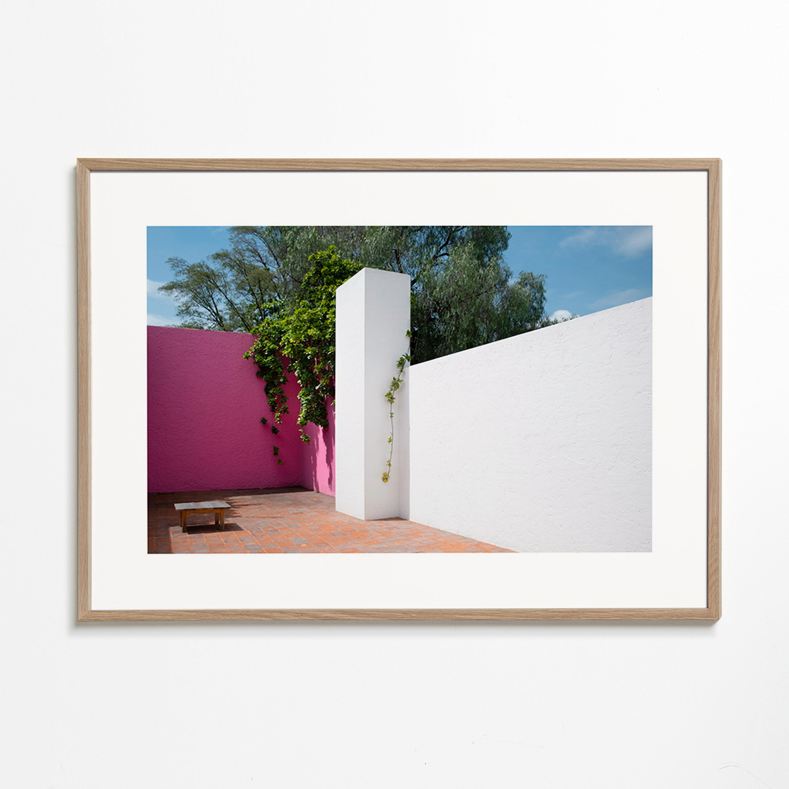 Design minimalista pátio rosa e branco