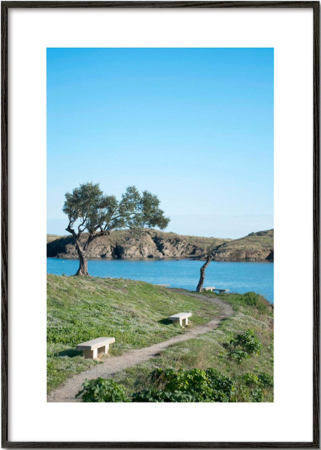 Cuadro de paisagem caminho costeiro sereno