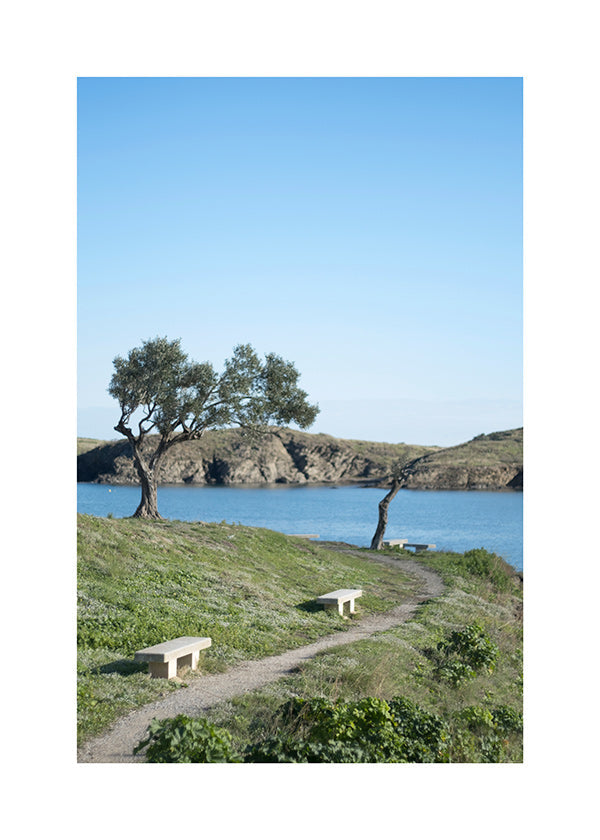 Cuadro de paisagem caminho costeiro sereno