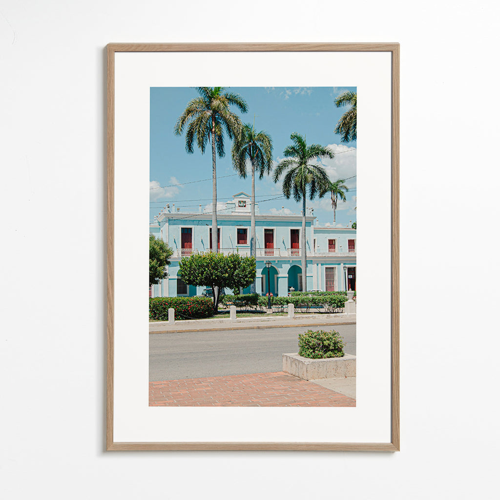 Arte para cidade: fachada azul e palmeiras