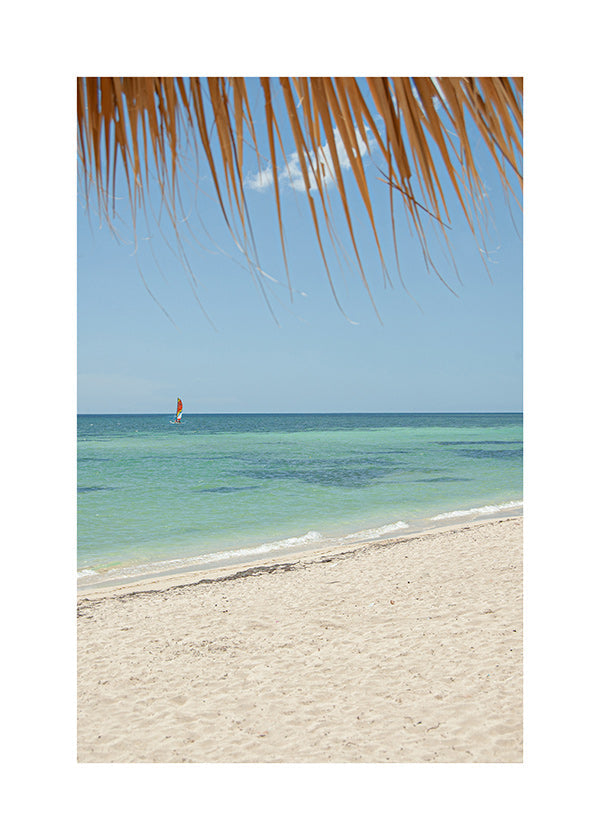 Quadro paisagem: praia caribenha com palmeira