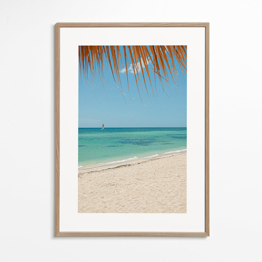 Quadro paisagem: praia caribenha com palmeira