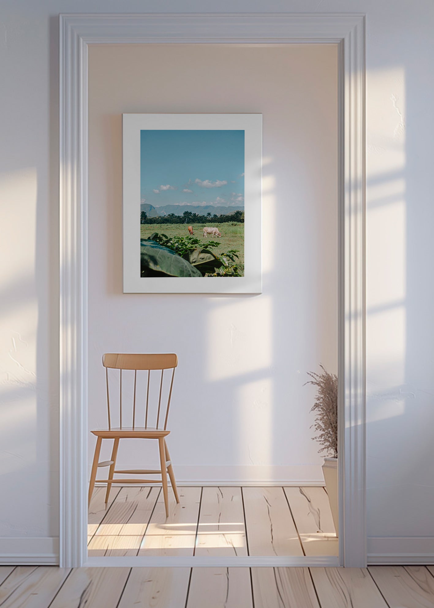 Arte paisagística: campo com vacas e céu amplo