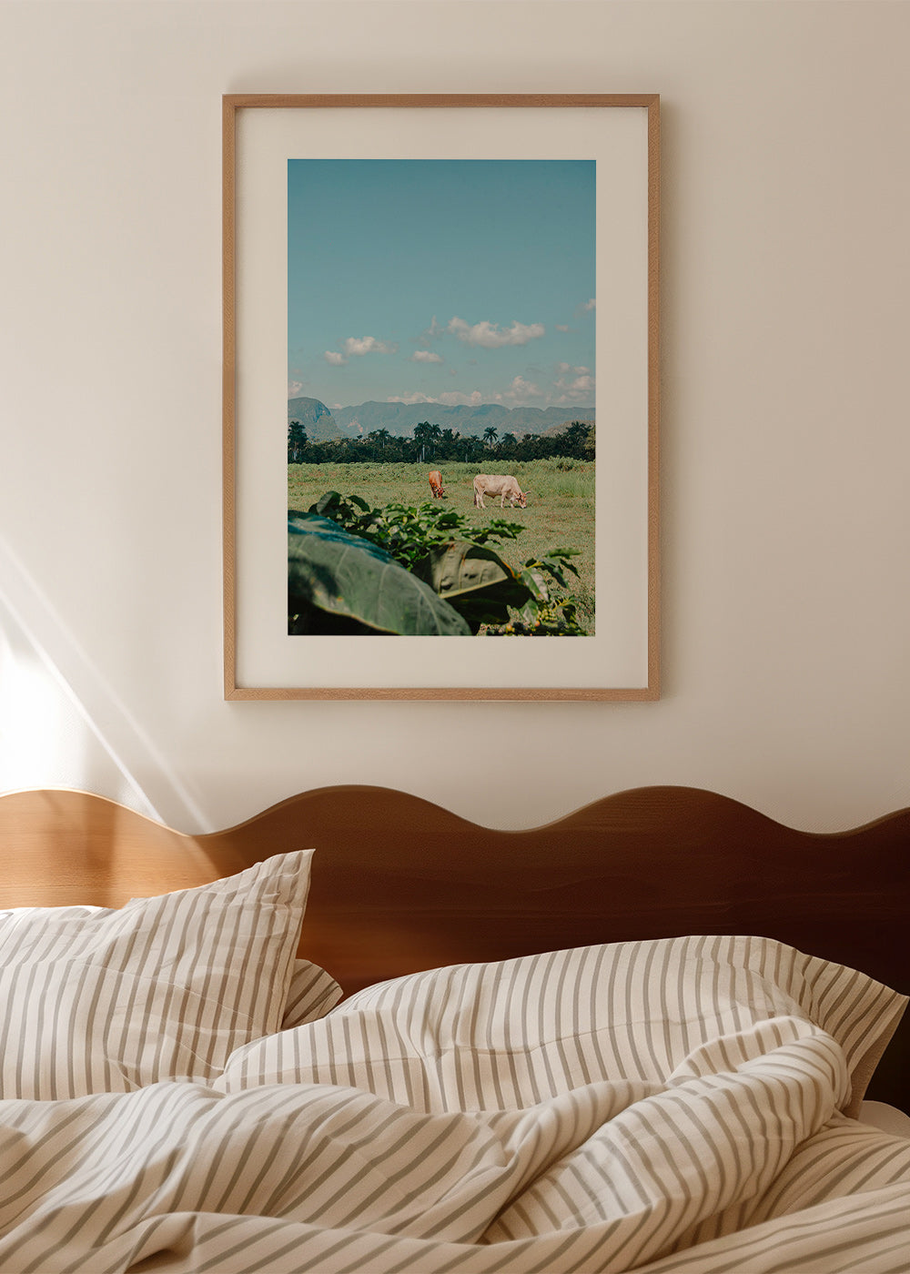 Arte paisagística: campo com vacas e céu amplo
