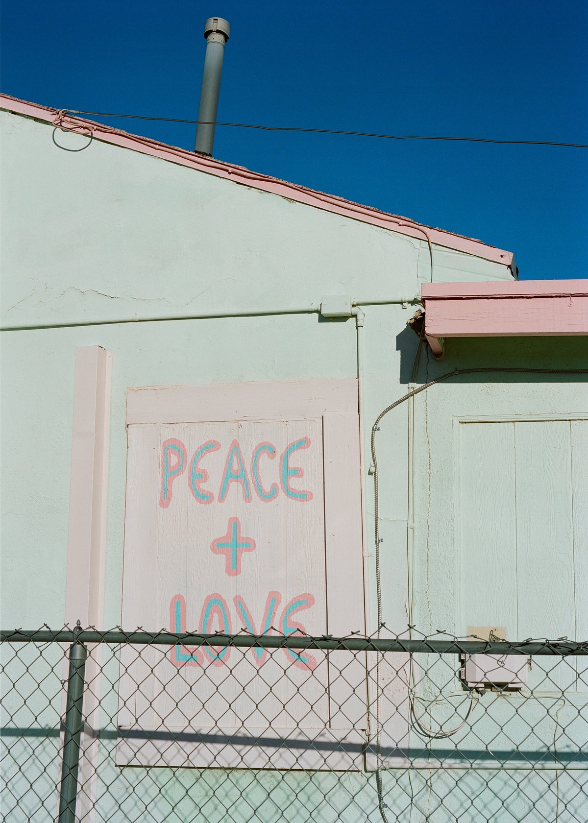 Joshua Tree Peace - Unframed art print
