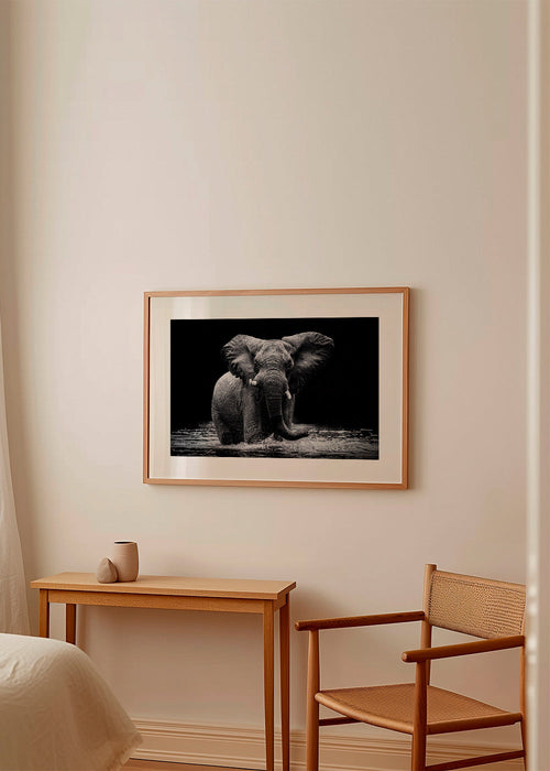 Quadro: retrato de elefante na água a preto e branco – Product1