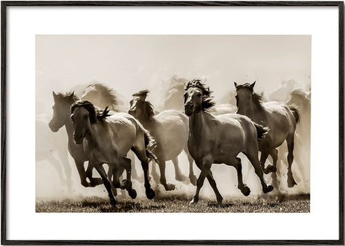 Cavalos em corrida sepia – Black Frame