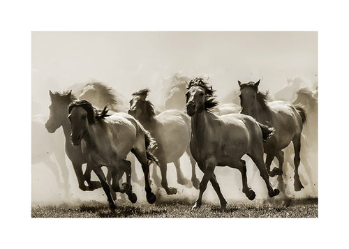 Cavalos em corrida sepia