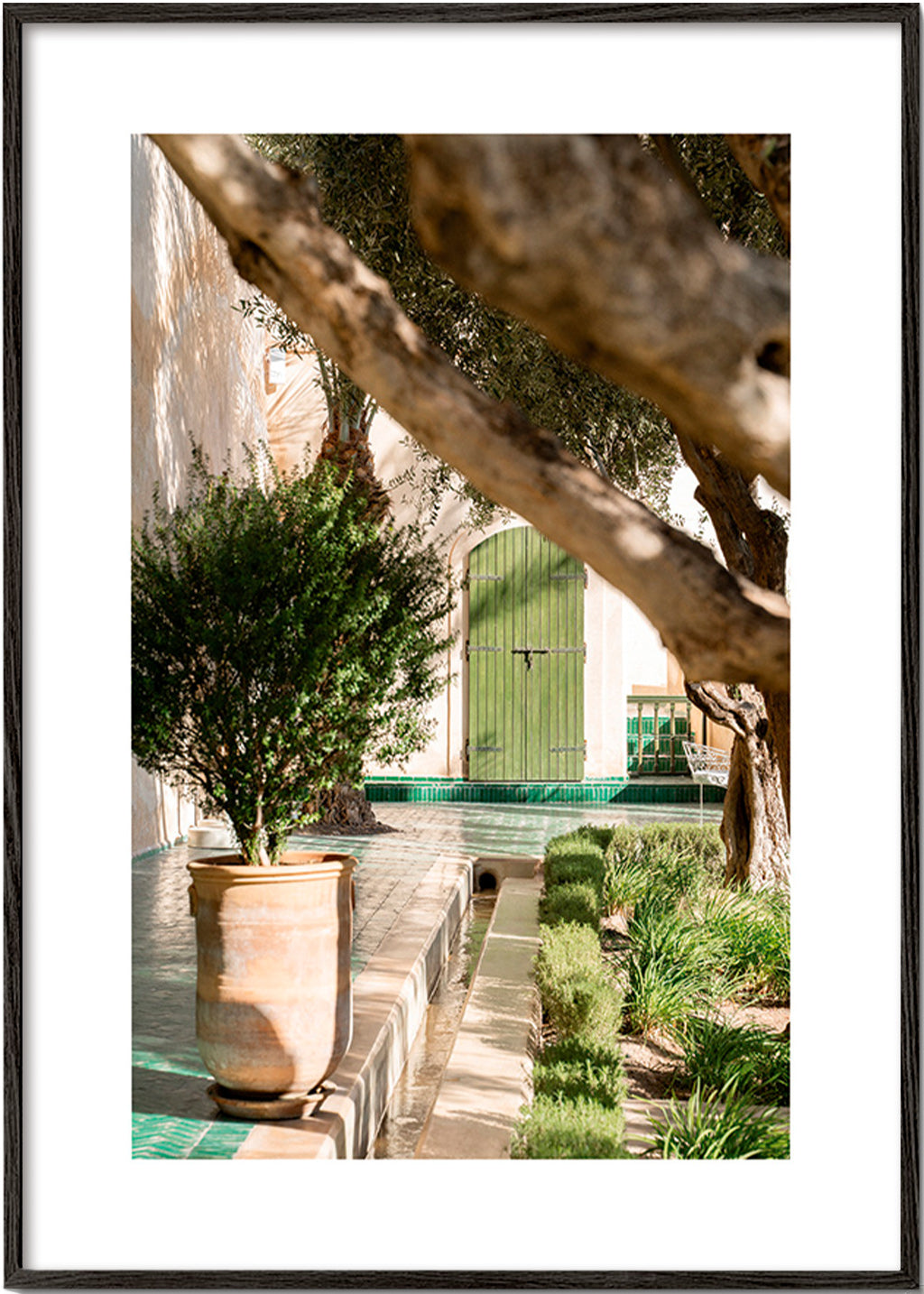 Estampa botânica de pátio mediterrâneo – Black Frame