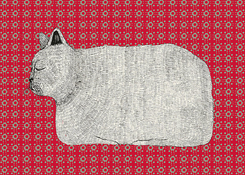 Gato em perfil sobre padrão vermelho