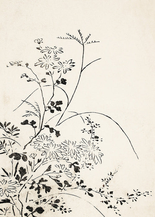 Estampa botânica em tinta japonesa minimalista