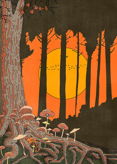 Ilustração floresta ao pôr do sol com cogumelos