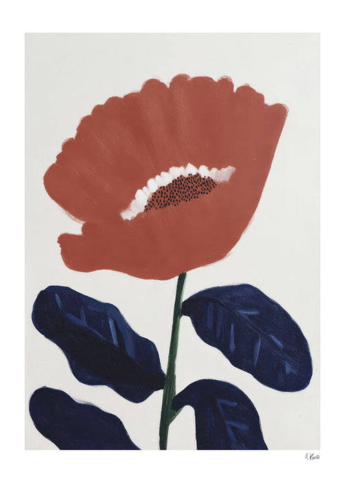 Estampa botânica flor coral