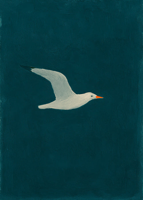 Quadro gaivota em voo sobre mar profundo