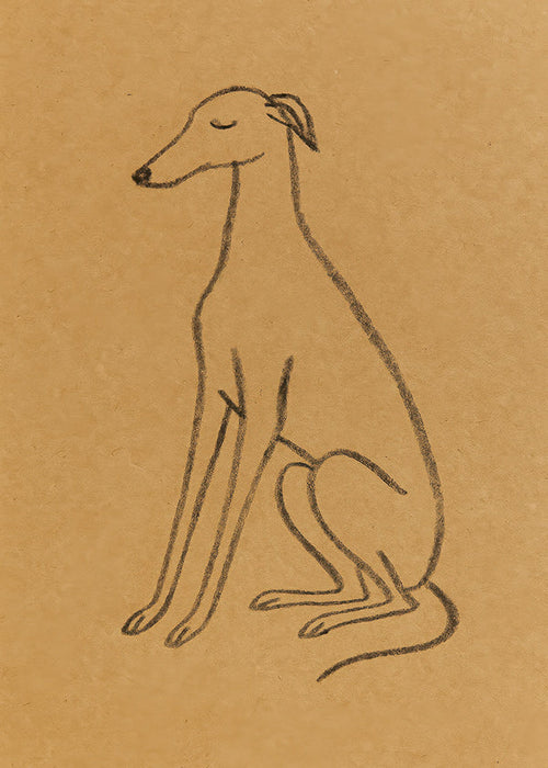 Silhueta de galgo em traço minimal