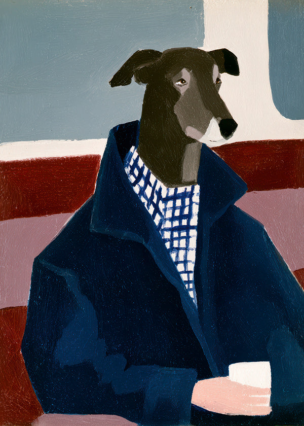 Galgo em casaco azul