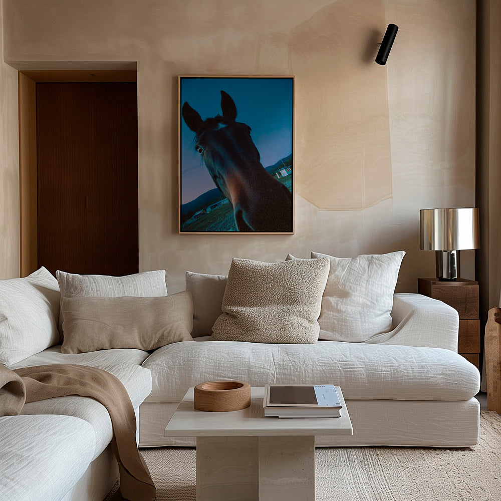 Obra cavalo close-up ao anoitecer