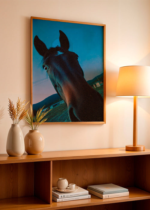 Obra cavalo close-up ao anoitecer
