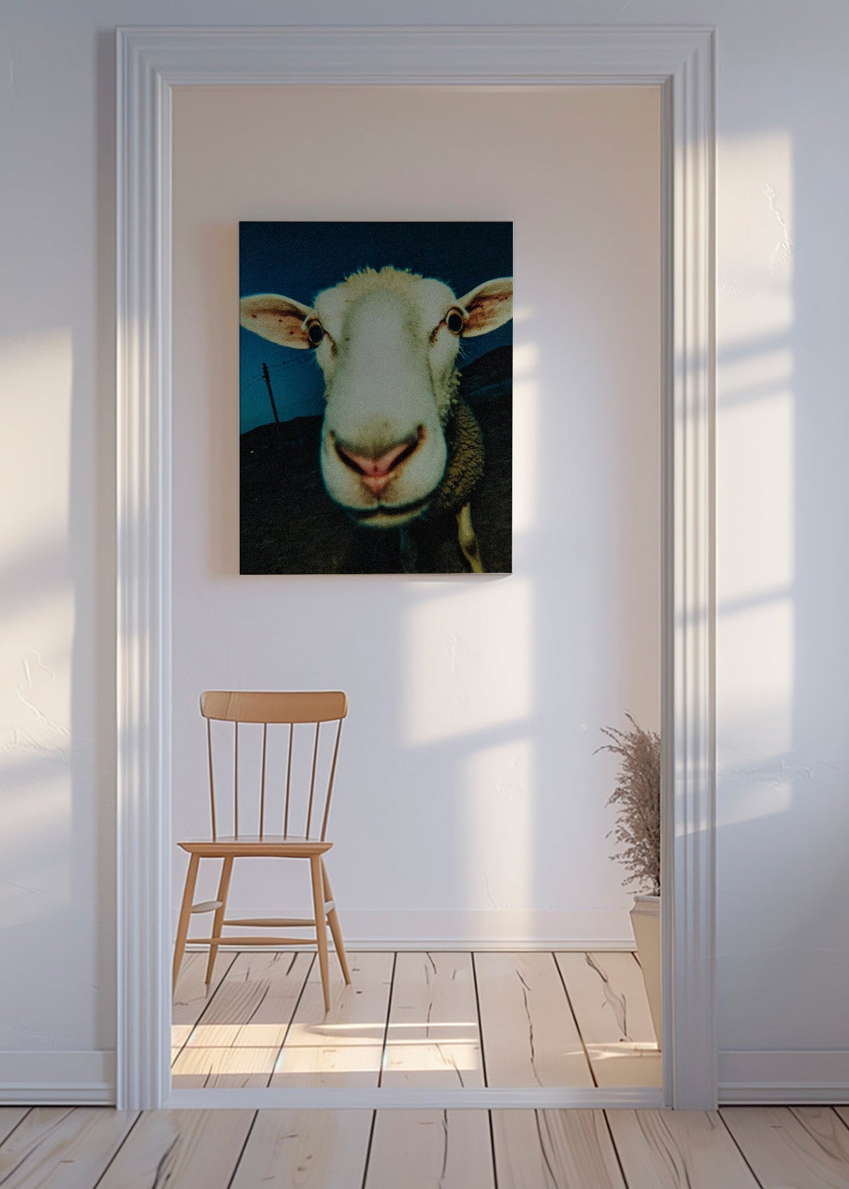 Retrato de ovelha em close