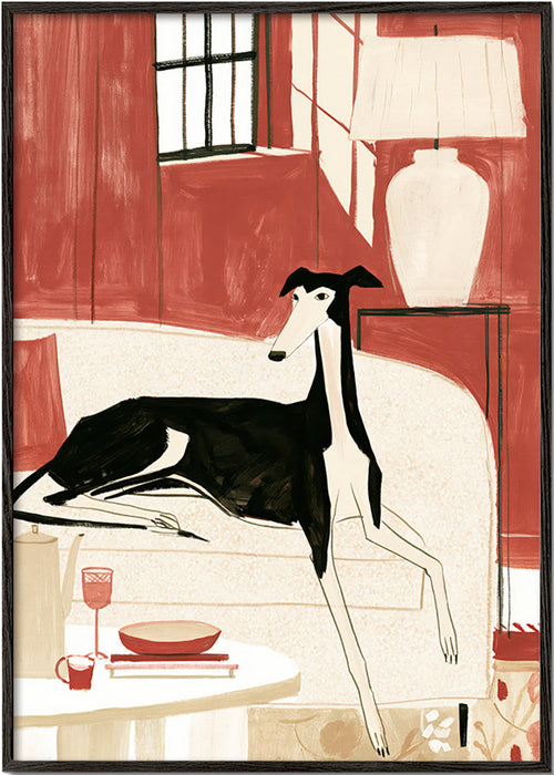 Galgo ilustrado no sofá