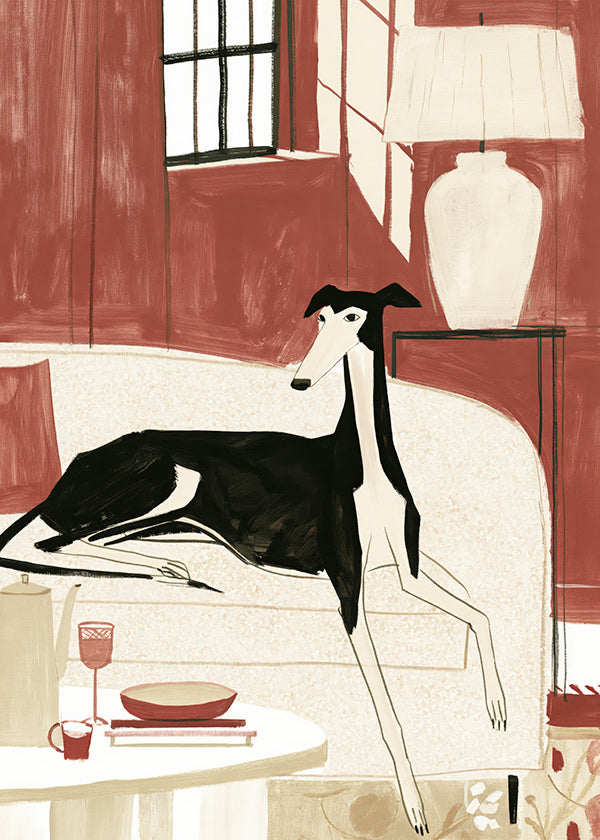 Galgo ilustrado no sofá