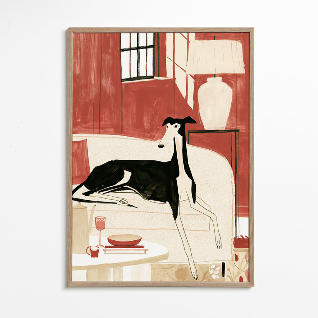 Galgo ilustrado no sofá