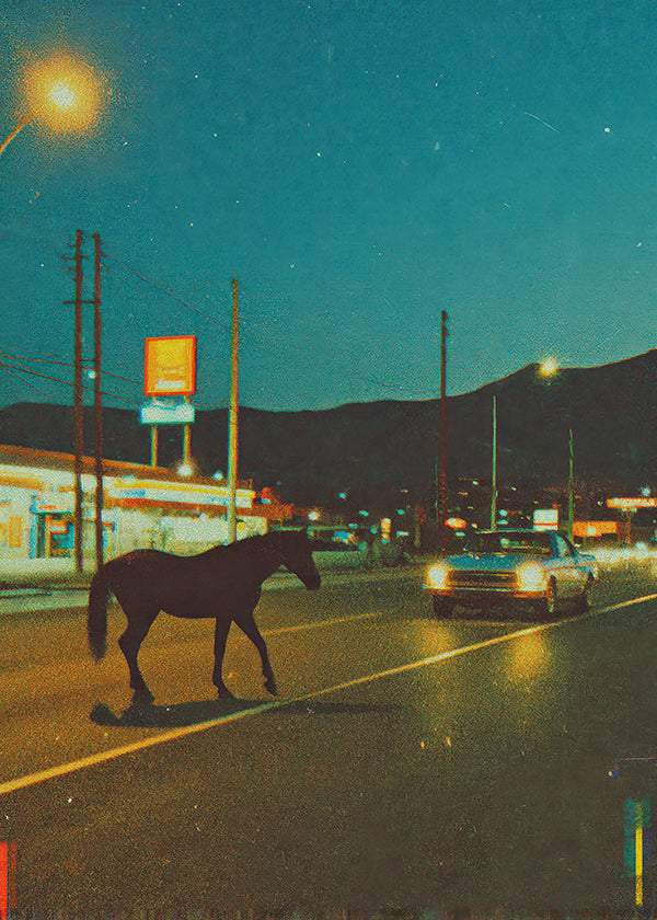 Cavalo noturno na estrada