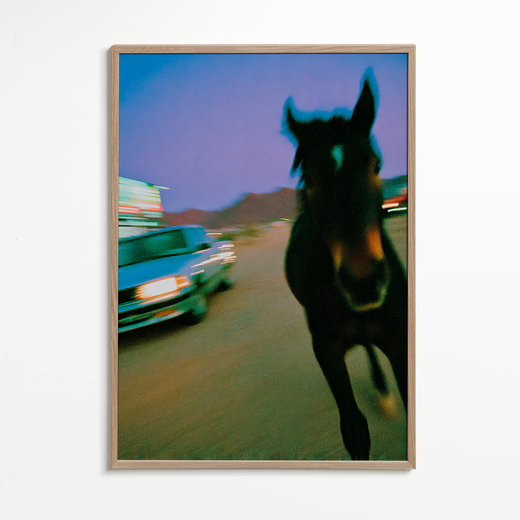 Quadro cavalo em movimento ao anoitecer