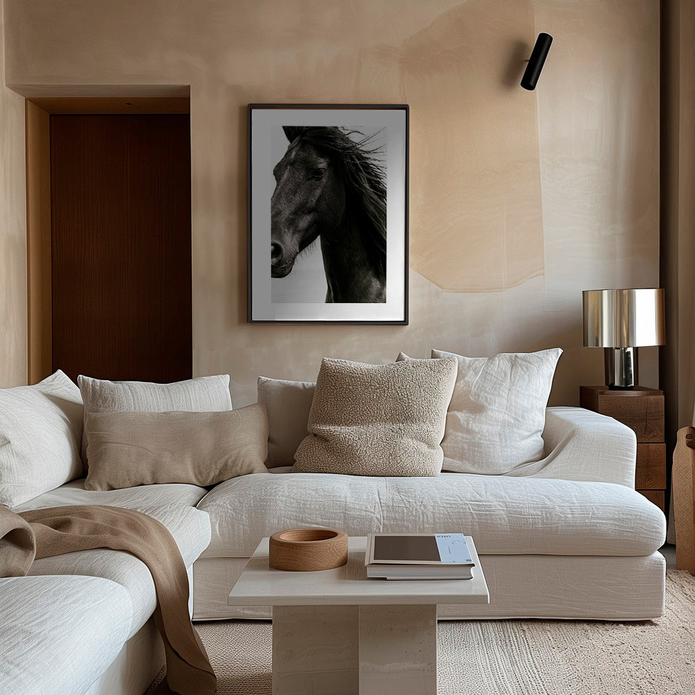 Retrato de cavalo preto