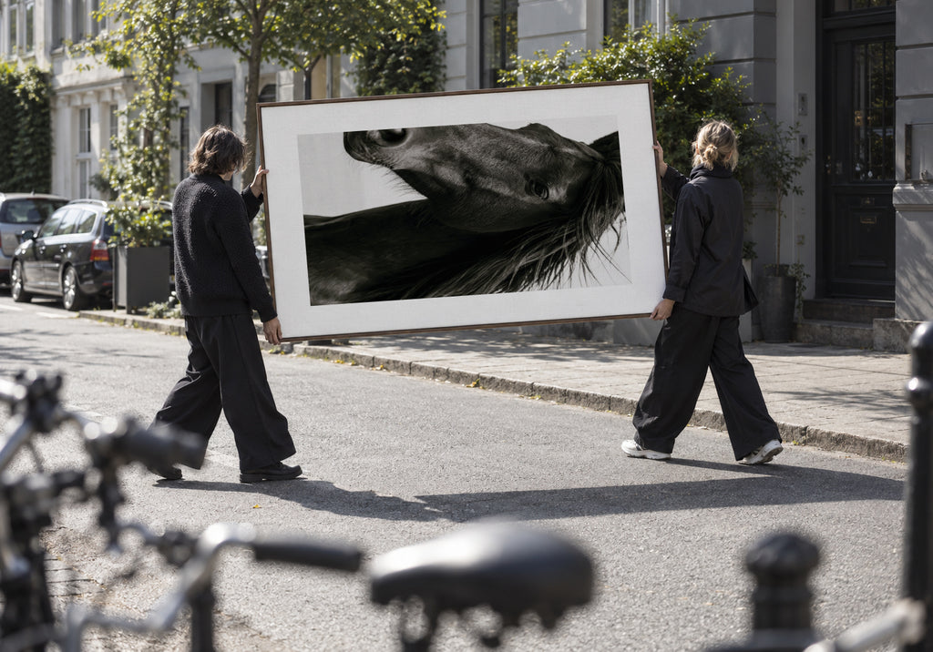 Black Stallion - Framed canvas in an interior