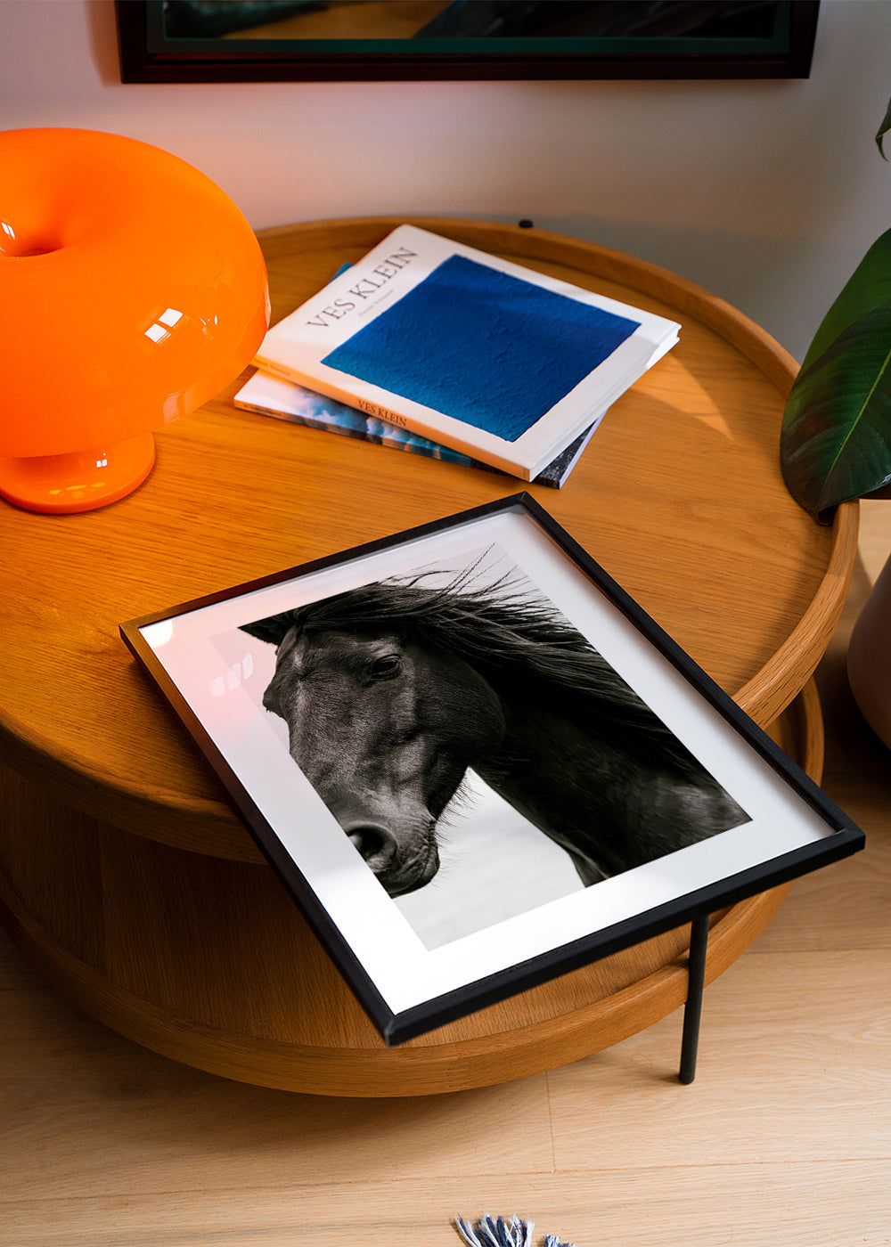 Retrato de cavalo preto