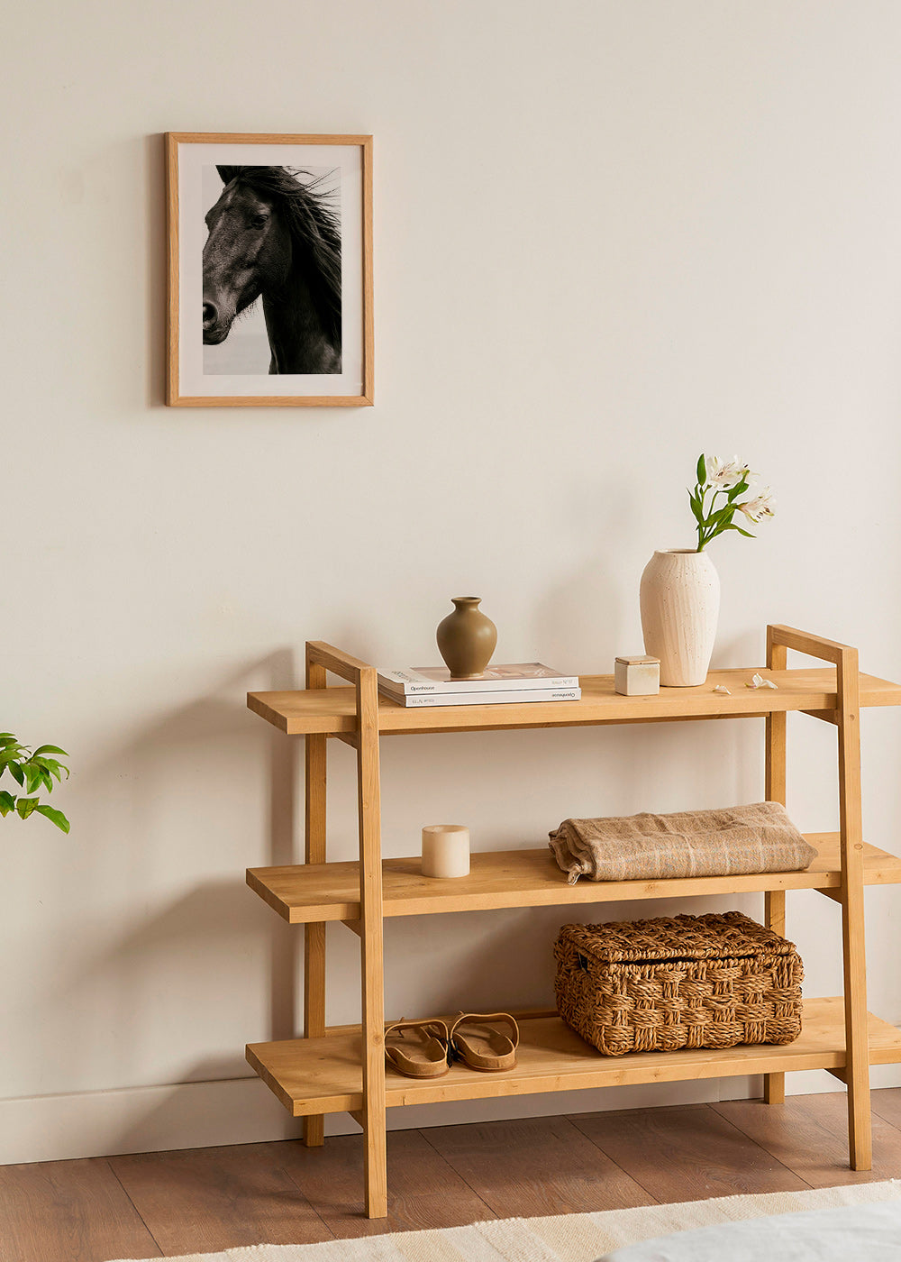 Retrato de cavalo preto