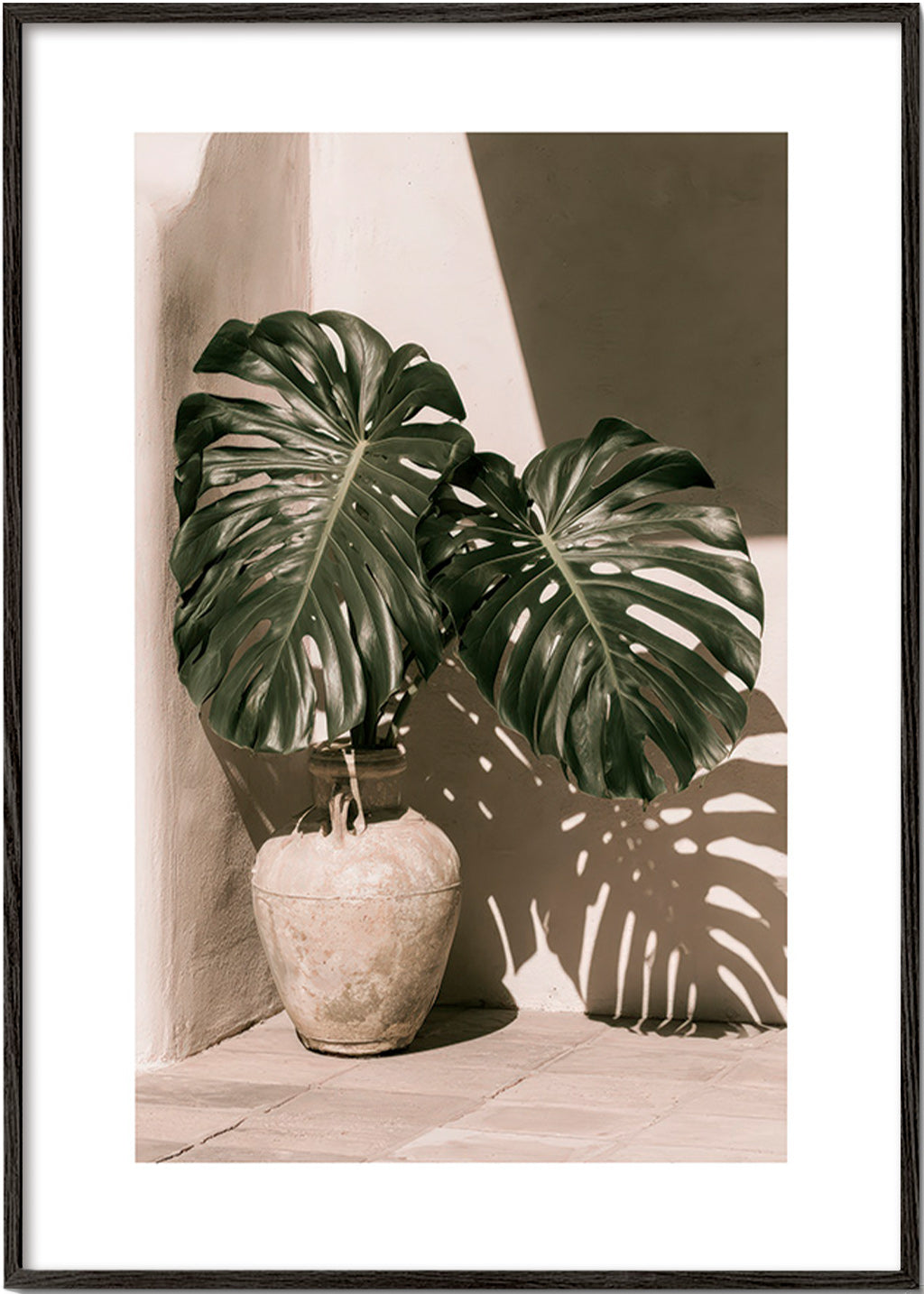 Estampa botânica Monstera em vaso