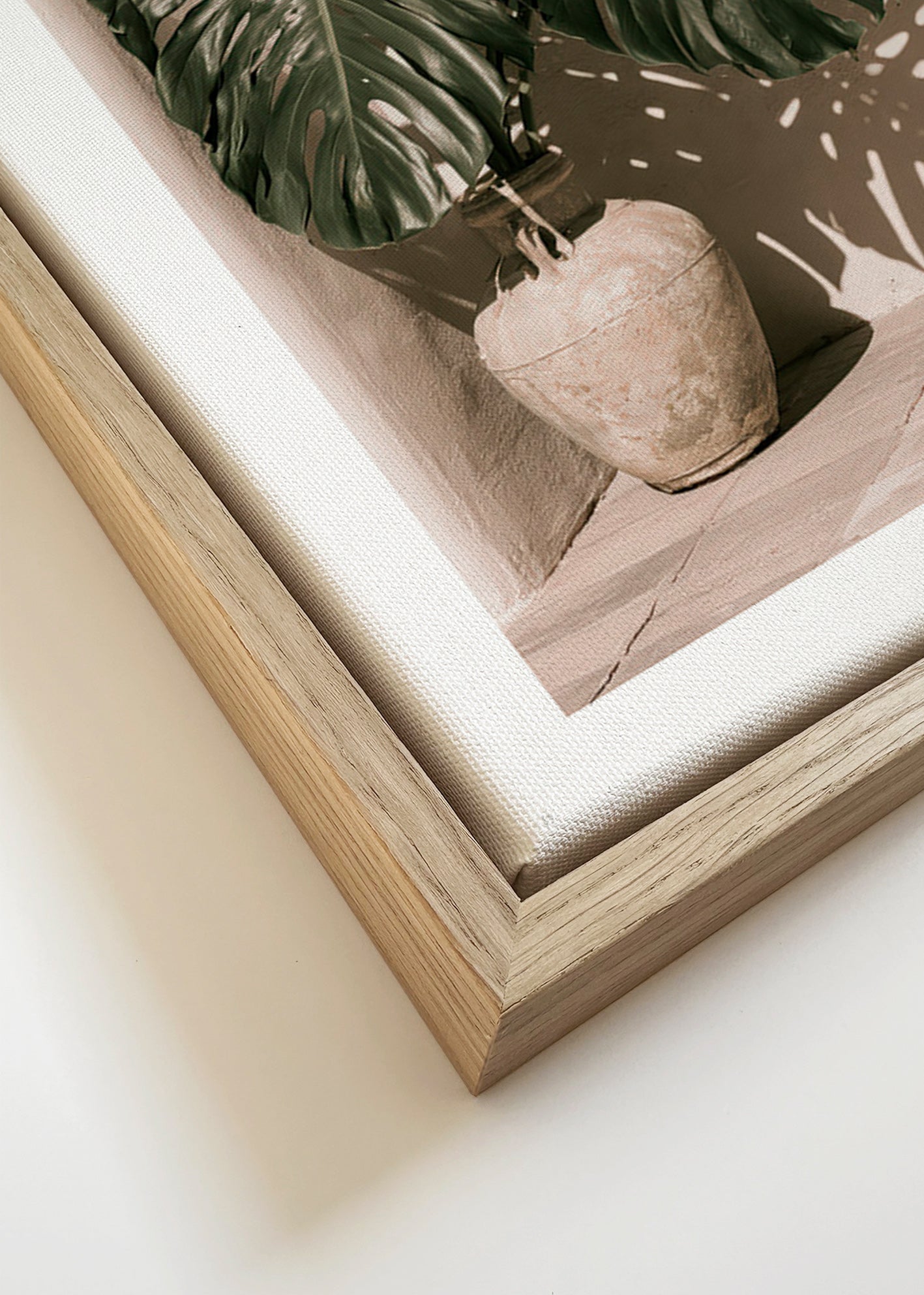 Estampa botânica Monstera em vaso