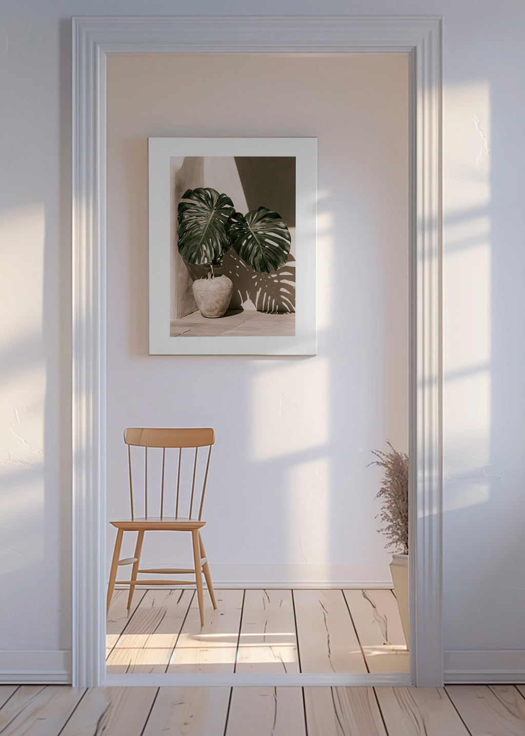 Estampa botânica Monstera em vaso