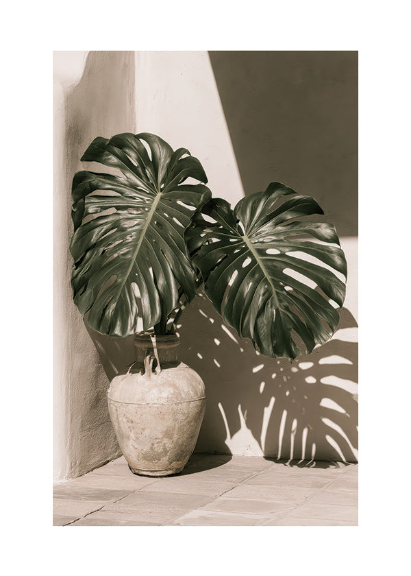 Estampa botânica Monstera em vaso