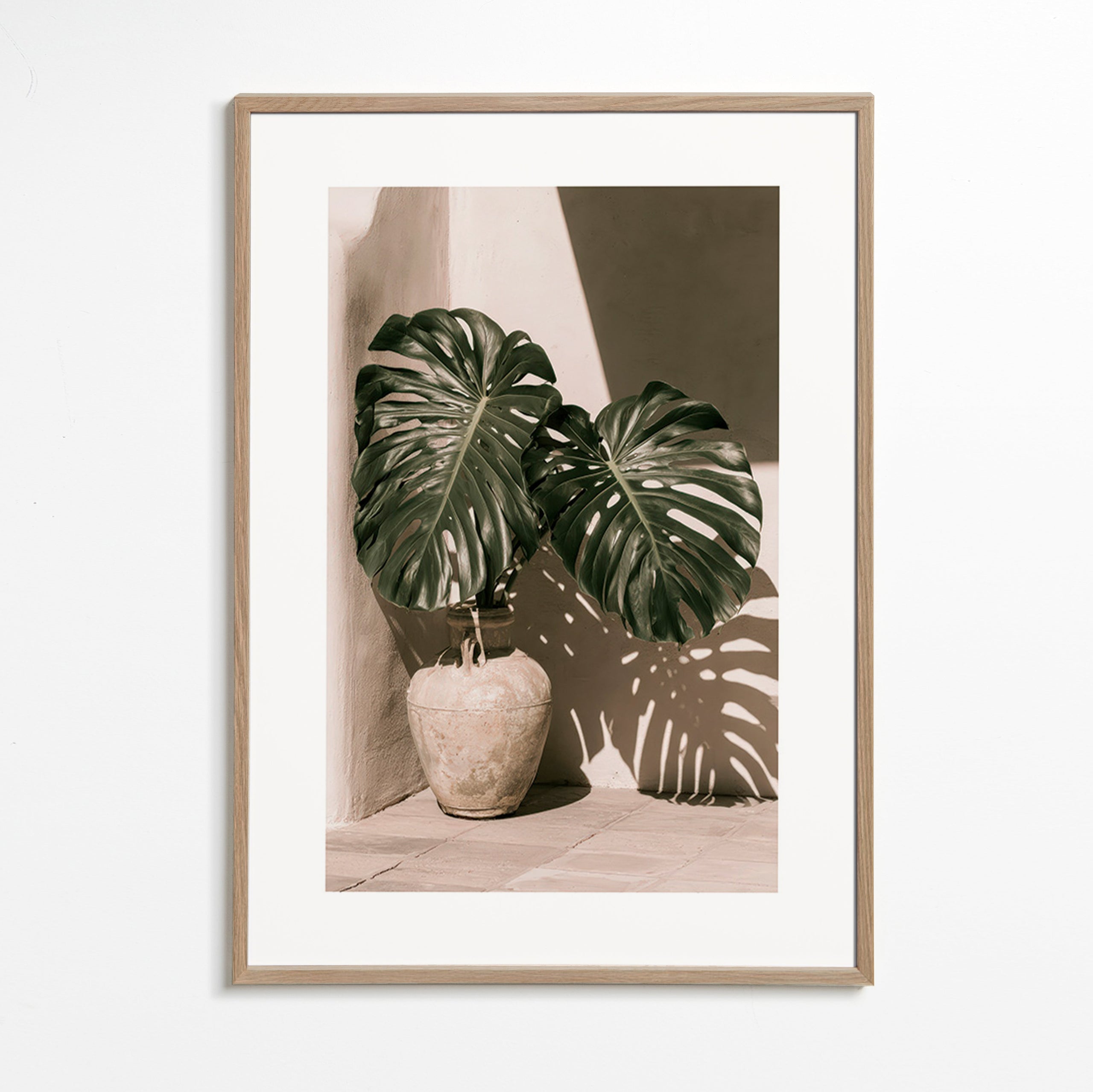 Estampa botânica Monstera em vaso
