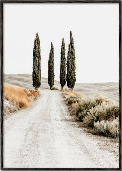 Quadro de paisagem com ciprestes na estrada